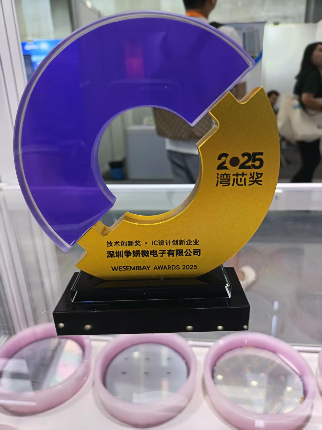  Backed by Over 80 Patents! Zhengyan Microelectronics Wins IC Design Technology Innovation Award at the BayChip Expo
